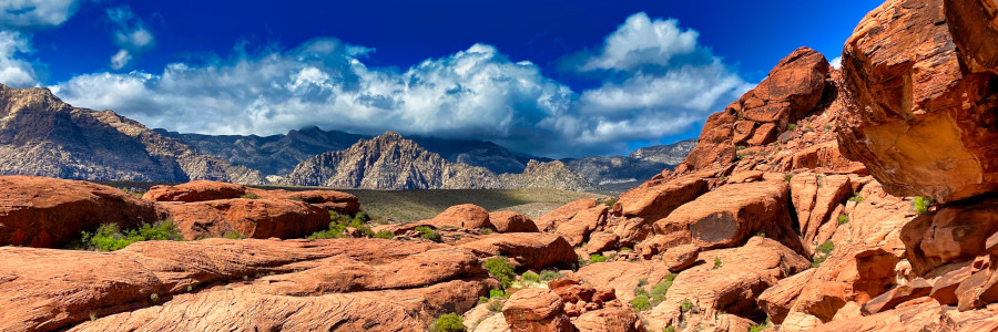 Joint 118th Annual Cordilleran/72nd Annual Rocky Mountain Section Meeting - 2022