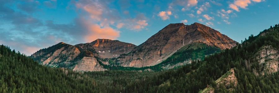 Rocky Mountain Section - 75th Annual Meeting - 2025